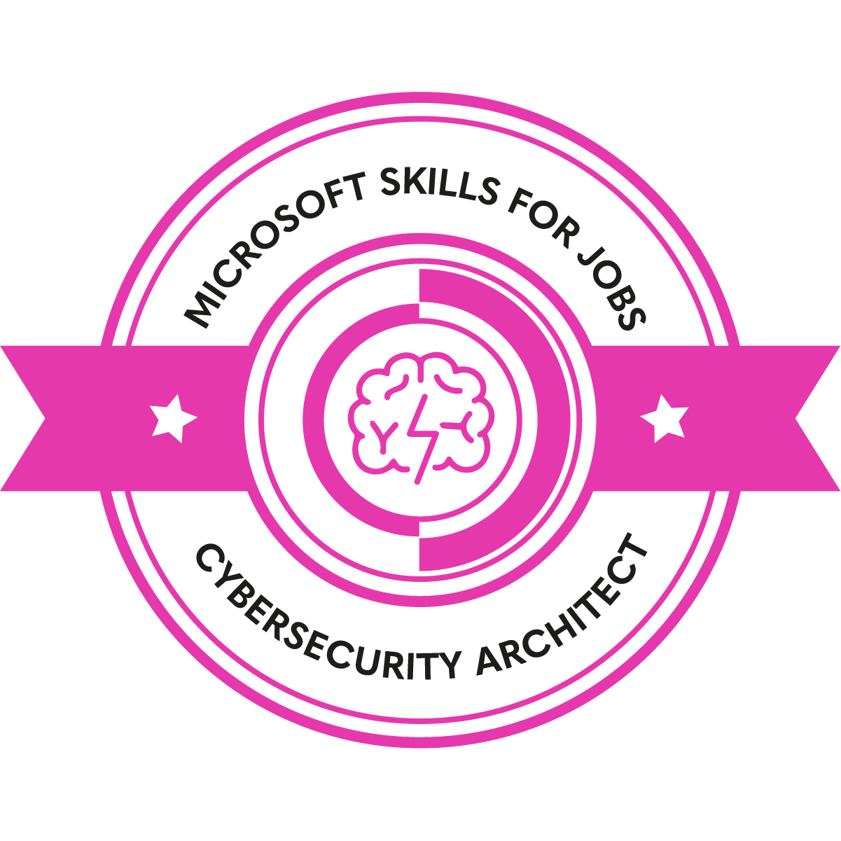 Cybersecurity Architect